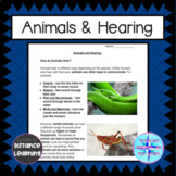 Grade 3 Science Alberta - Hearing and Sound - Animal Heari