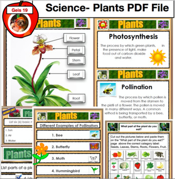 Preview of Grade 3 Science Bundle - Plants, Force and Motion, Structures and Stability