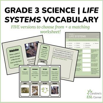 Preview of Grade 3 Science Life Systems | Vocabulary | Ontario
