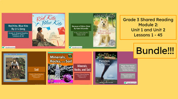 Preview of "Grade 3 Shared Reading Module 2 Bundle" Google Slides- Bookworms Supplement