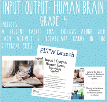Preview of Grade 4 Input⎮Output: Human Brain Module