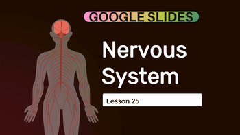 Preview of Grade 5-6 Science Reading Passage 25: Nervous System (Google Slides)