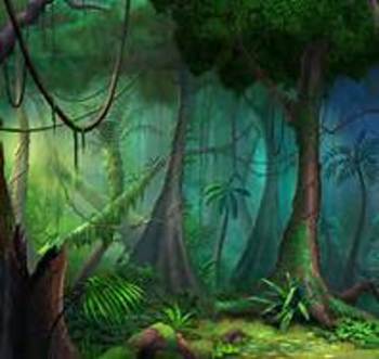 Preview of Grade 5 ELA Module 2A Rainforests