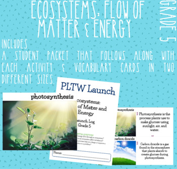 Preview of Grade 5 Ecosystems: Flow of Matter and Energy Module