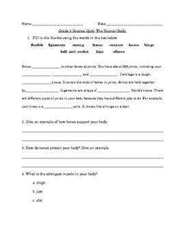 human body quiz grade 5 worksheets teaching resources tpt