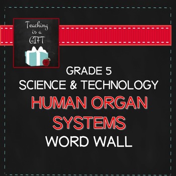 Preview of Grade 5 Human Organ Systems Word Wall