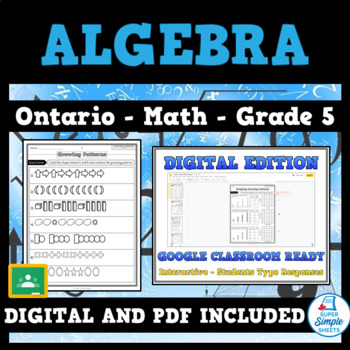 Preview of Grade 5 - New Ontario Math Curriculum 2020 - Algebra - GOOGLE AND PDF
