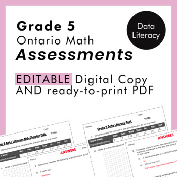 Preview of Grade 5 Ontario Math - Data Literacy Assessments - PDF+Google Slides