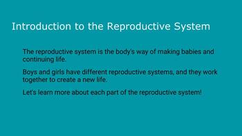 grade 5 puberty reproductive systems worksheets by get smrt tpt