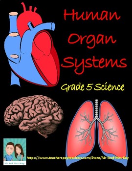 Preview of Grade 5 Science - Human Body Organ Systems (Ontario)