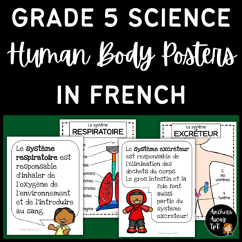 Preview of Grade 5 Science - Human Body Systems Posters in French