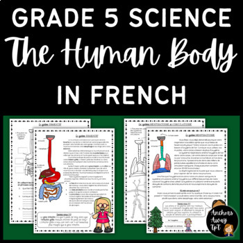 Preview of Grade 5 Science - Human Body Systems in French