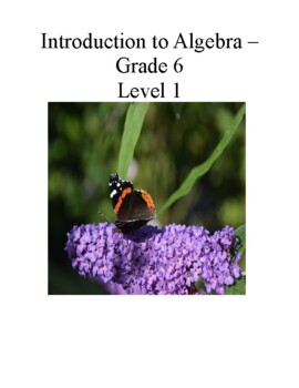 Preview of Grade 6 Algebra - Level 1 a