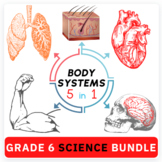Grade 6 Biology | 7 Body Systems | Worksheets for HW, Revi