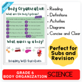 Grade 6 Body Organization Worksheet