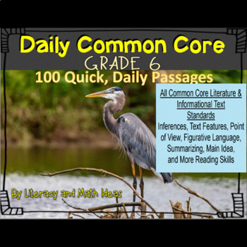 Preview of Grade 6 Daily Common Core Reading Practice Weeks 1-20 (IAR, SBAC, STAAR, MAP)