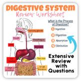 Grade 6 Digestive System Activities and Review Questions