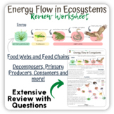Grade 6 Energy Flow in Ecosystems