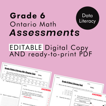 Preview of Grade 6 Ontario Math - Data Literacy Assessments - PDF+Google Slides