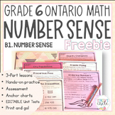 Grade 6 Number Sense NEW Ontario Math - FREE