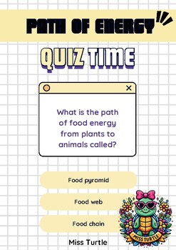 Preview of Grade 6 Science Quiz Activity: Food Chains, Food Webs, and Energy Flow 2024
