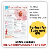 Grade 6 The Cardiovascular System
