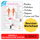 Grade 6 The Muscular System HW and Sub Lessons Activity