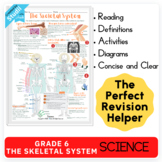 Grade 6 The Skeletal System Homework/Sub Activity