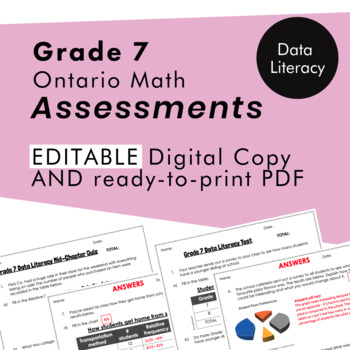 Preview of Grade 7 Ontario Math - Data Literacy Assessments - PDF+Google Slides