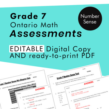 Preview of Grade 7 Ontario Math - Number Sense Assessments - PDF+Google Slides