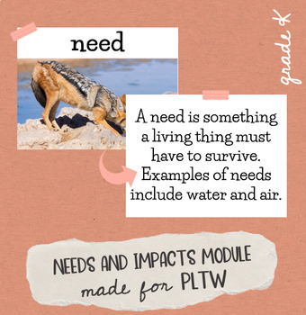 Preview of Grade K Living Things: Needs & Impacts Module