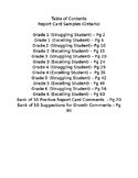 Grades 1-6 Ontario Report Card Resource (Fully Editable)