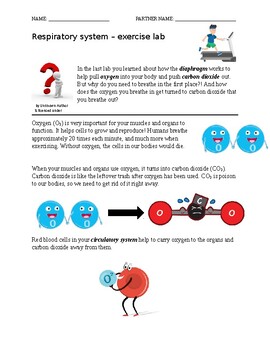 Preview of Grades 4 - 8 Respiratory Lab Part 2