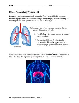 Preview of Grades 4-8 Respiratory System Lab Part 1