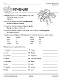 Grades 5-6 Language Arts Unit 2: Nouns, Pronouns, Subjects