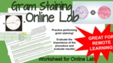 Gram Staining Online Lab Worksheet