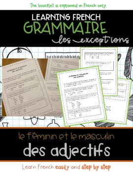 Preview of Grammaire Francaise : Le genre de l'adjectif, les exceptions