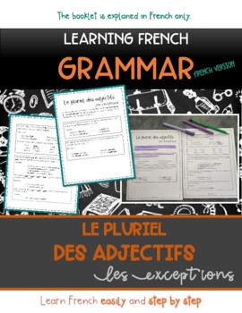 Preview of Grammaire Francaise : Le nombre de l'adjectif, les exceptions