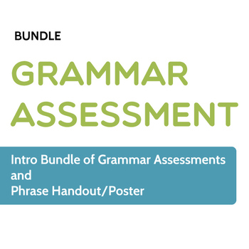 Preview of Grammar Assessment: Intro Bundle of Grammar Pretests and Handout/Poster