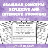 Grammar Concepts: Singular and Plural Indefinite Pronouns FREEBIE