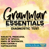 Grammar Essentials Diagnostic Test Subject Predicate Parts