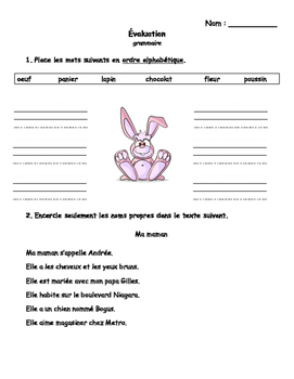 Grammar Evaluation - French by Madame Melissa | TPT