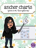 Grammar: Homophones Anchor Chart