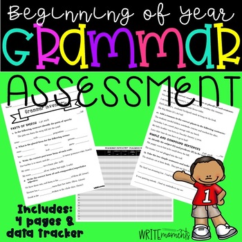 Preview of Beginning of the Year- Grammar Assessment