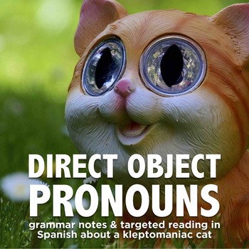 Preview of Grammar Notes: Direct Object Pronouns in Spanish