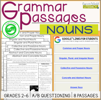 Preview of Grammar Passages - Nouns - Digital & Print