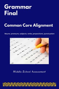 Preview of Grammar Pre/Post Assessment