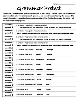 Grammar Pretest by Heather Kaczmarek | Teachers Pay Teachers