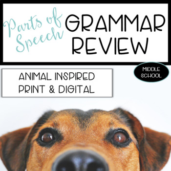 Preview of Grammar Review and Practice Worksheets and Activities Virtual and Print 