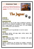 Grammar Task - The Jaguar